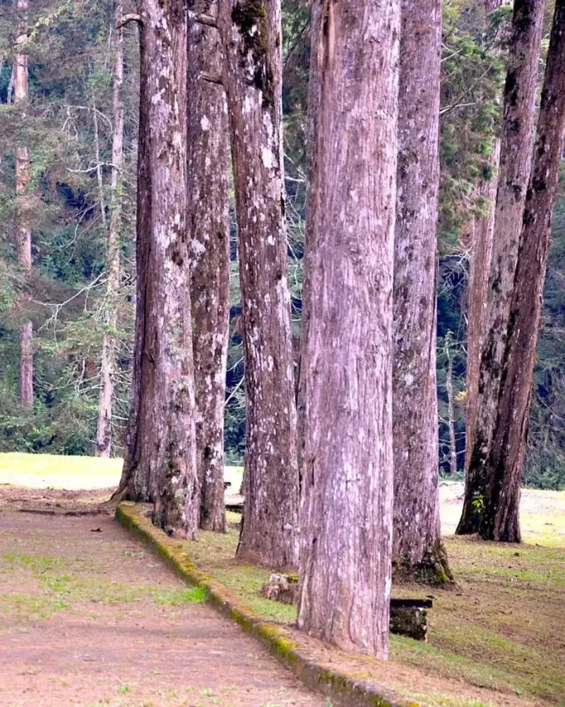 Paisagem de Campos do Jordão vista a partir de Hotel Platanus