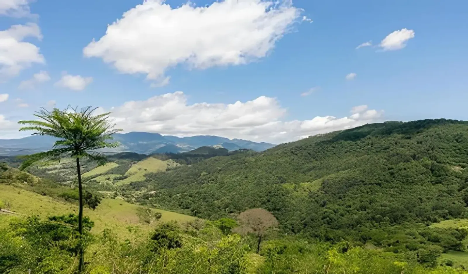 Paisagem de Campos do Jordão vista a partir de Casa de Pedra, Charme e Conforto